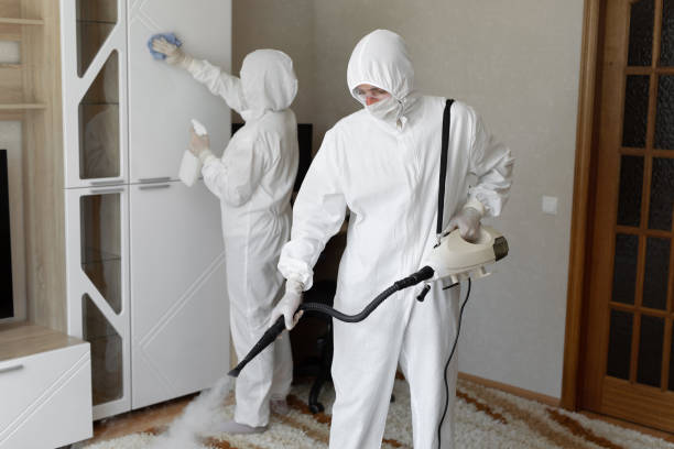 Best Mold Damage Repair  in Bloomville, OH