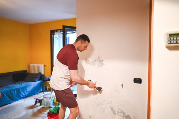 Best Mold Removal Company Near Me  in Bloomville, OH
